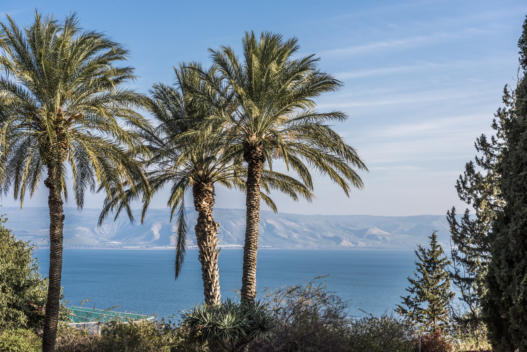 The shore of the sea of Galilee