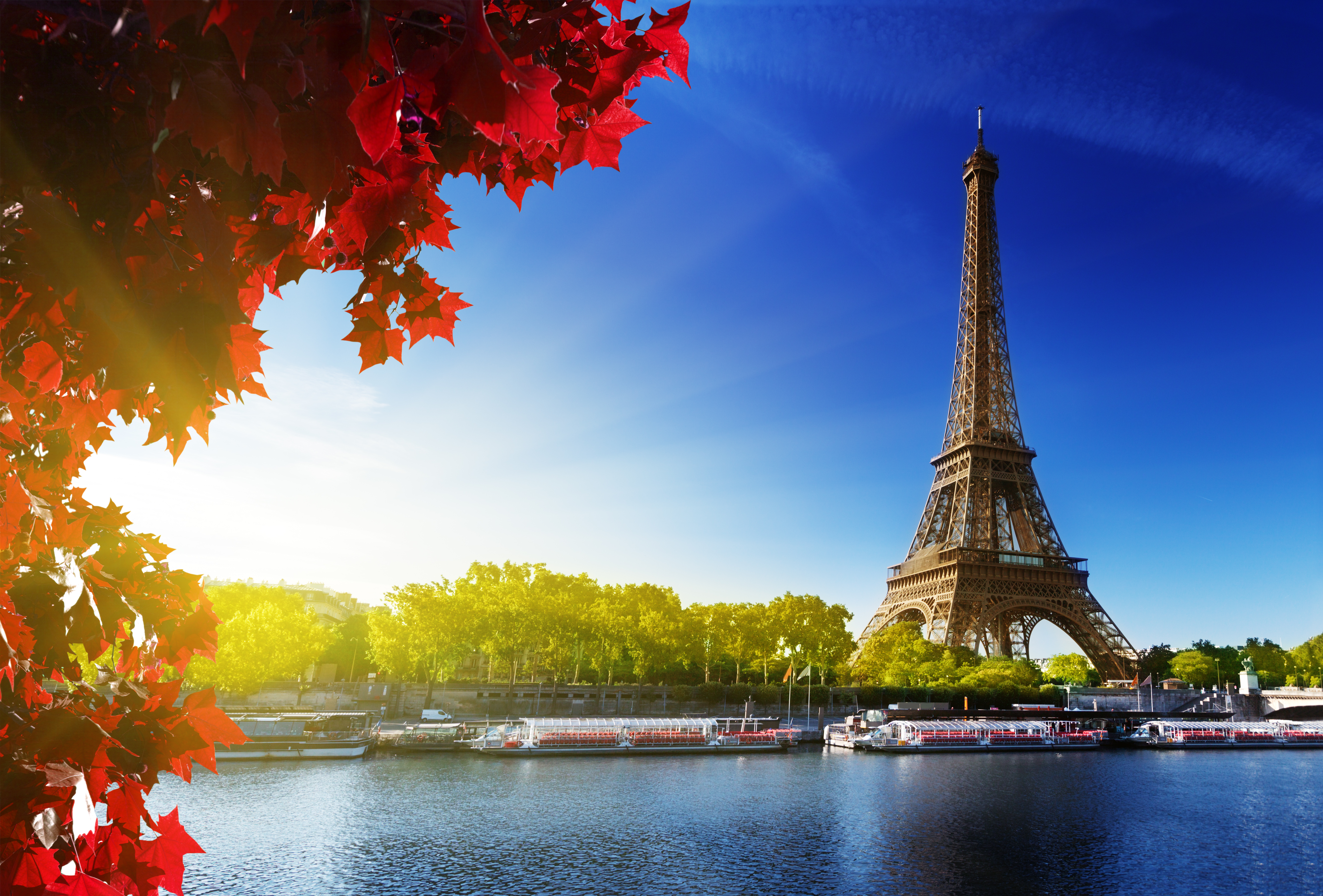 Seine in Paris with Eiffel tower, France